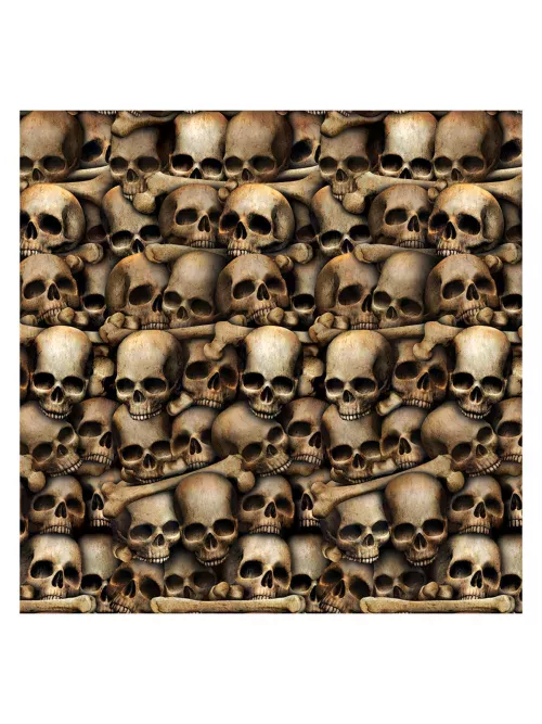 Photo du produit Décoration murale catacombes squelettes 1,2 x 9,1 m