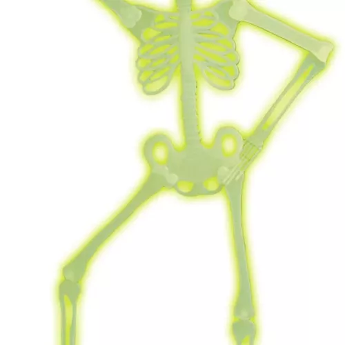 Photo du produit Squelette articulée phosphorescent Halloween 92 cm