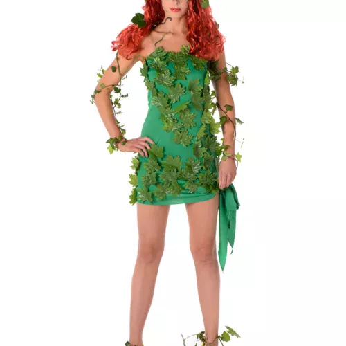 Photo du produit Déguisement super-méchante sexy vert femme
