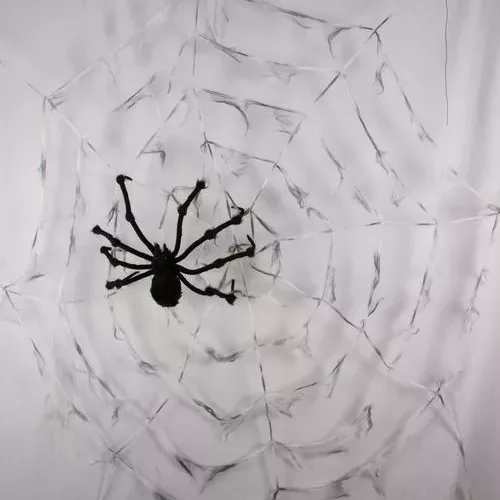 Photo du produit Toile d'araignée géante avec araignée 2.90m Halloween