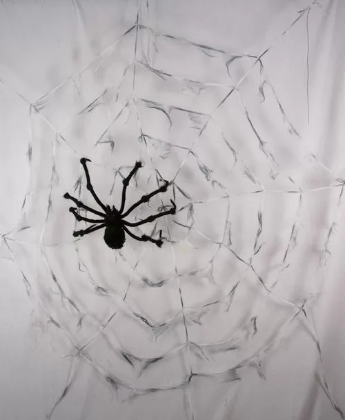 Photo du produit Toile d'araignée géante avec araignée 2.90m Halloween