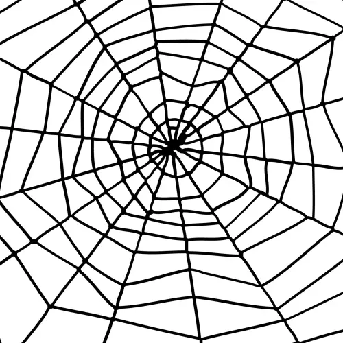 Photo du produit Toile d'araignée Halloween