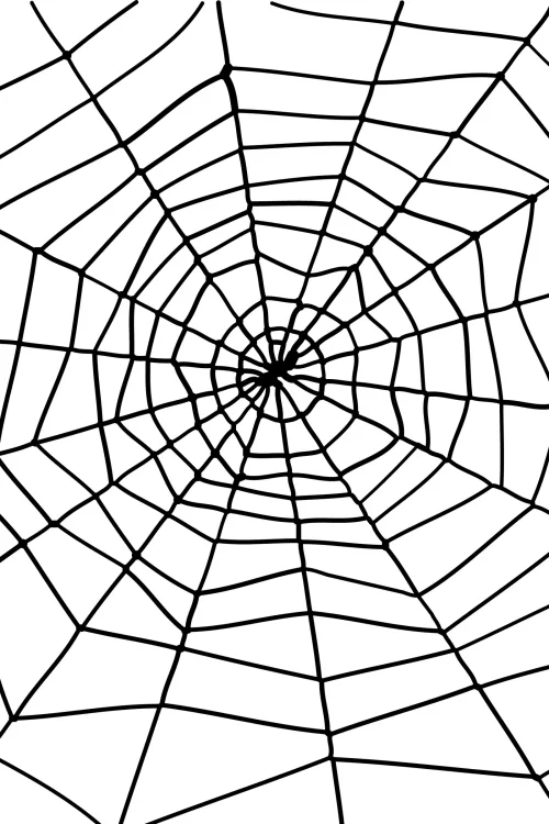 Photo du produit Toile d'araignée Halloween