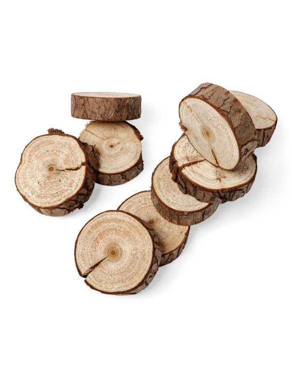 Photo du produit 10 Mini rondins de bois naturel 5 cm