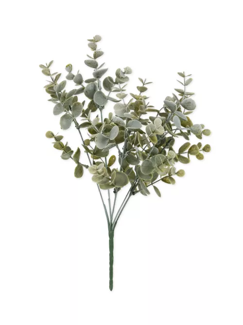 Photo du produit Bouquet feuilles eucalyptus vert 35 cm