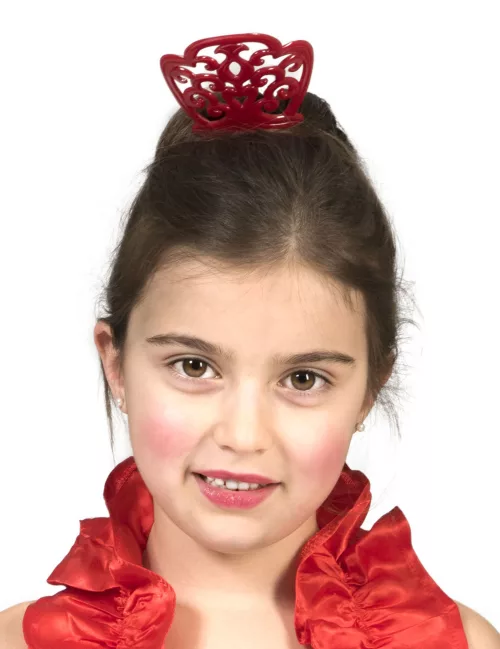 Photo du produit Broche cheveux en plastique Espagnole