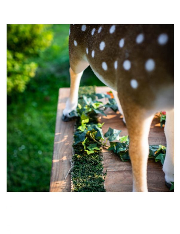 Photo du produit Chemin de table végétal en jute et mousse 10 cm x 2 m