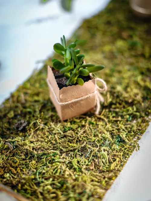 Photo du produit Chemin de table végétal en jute et mousse 20 cm x 2 m