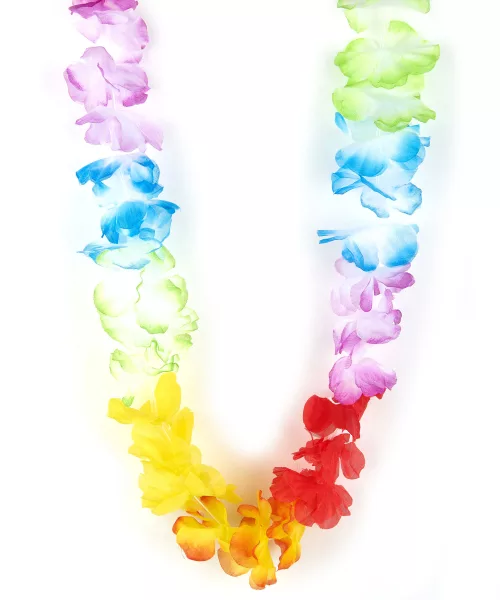 Photo du produit Collier Hawaï de bienvenue