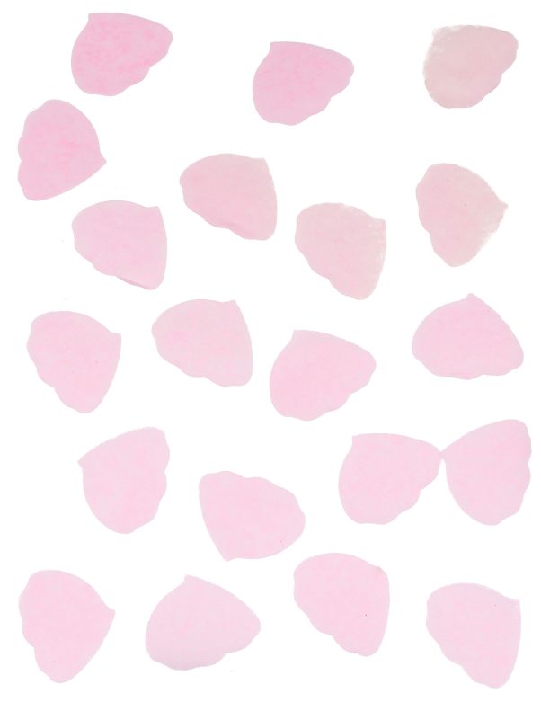 Photo du produit Confettis pétales de rose en papier rose 50g