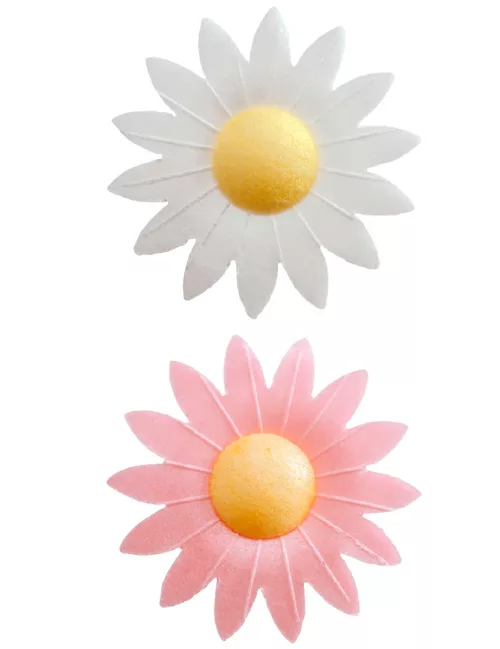 Photo du produit 8 Décorations pour gâteau fleurs azyme