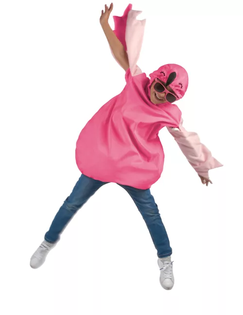 Photo du produit Déguisement flamant rose enfant