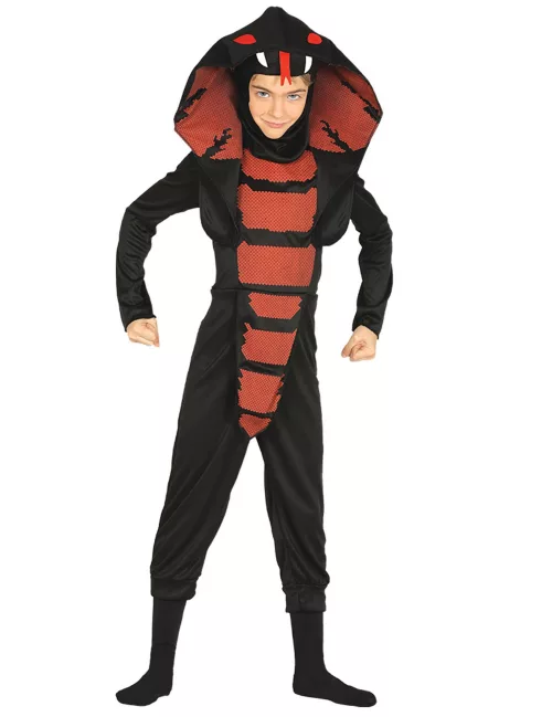 Photo du produit Déguisement ninja cobra garçon