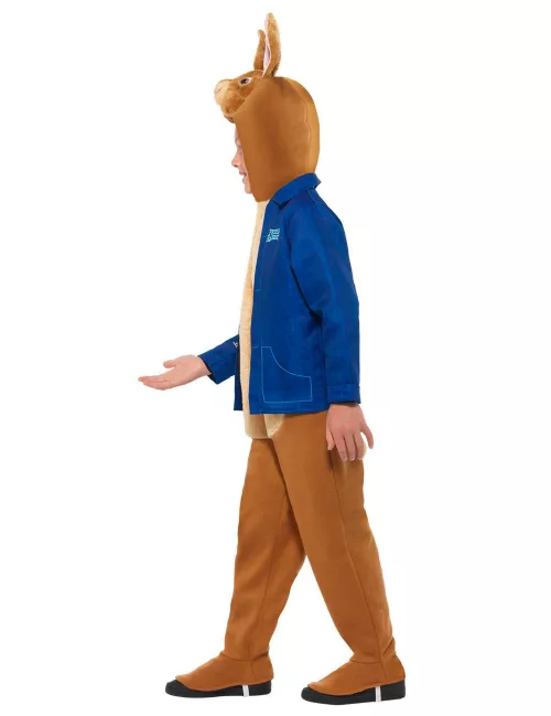 Photo du produit Déguisement Pierre Lapin enfant