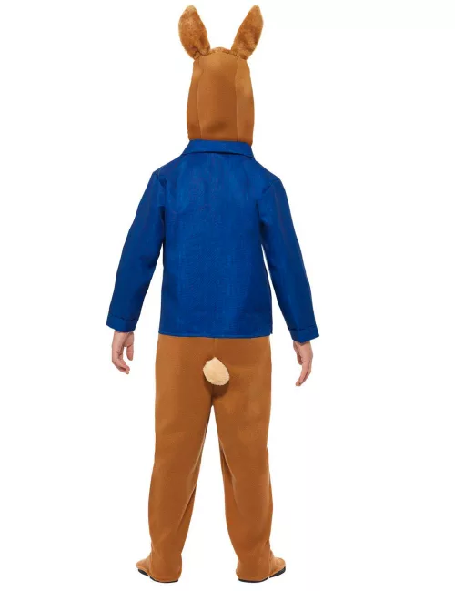 Photo du produit Déguisement Pierre Lapin enfant