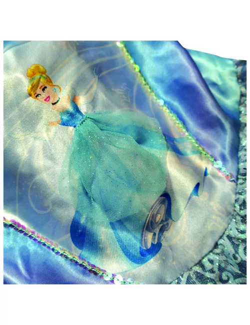 Photo du produit Déguisement Princesse Ballerine Cendrillon fille