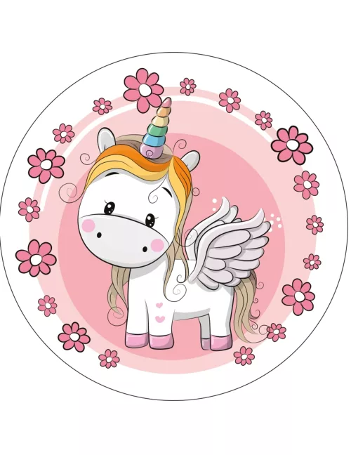 Photo du produit Disque en azyme jolie licorne 21 cm aléatoire