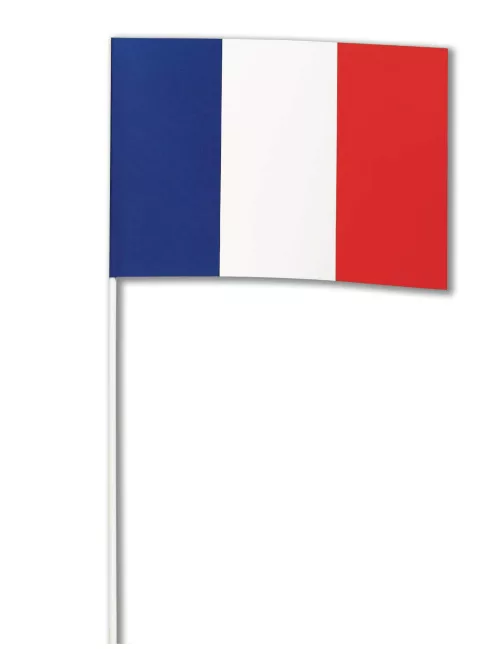 Photo du produit Drapeau papier France 14 x 21 cm