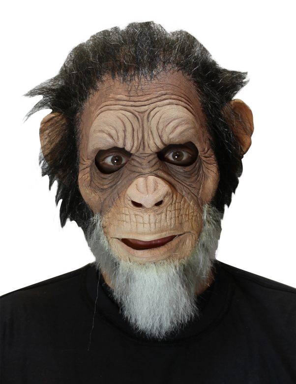 Photo du produit Masque vieux singe adulte
