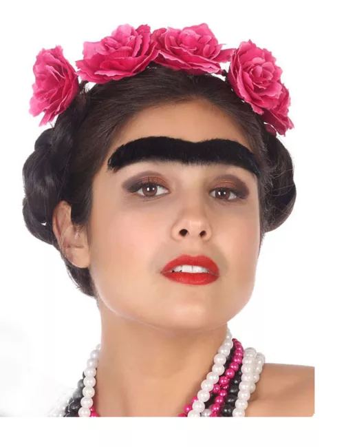 Photo du produit Mono-sourcil noir adulte