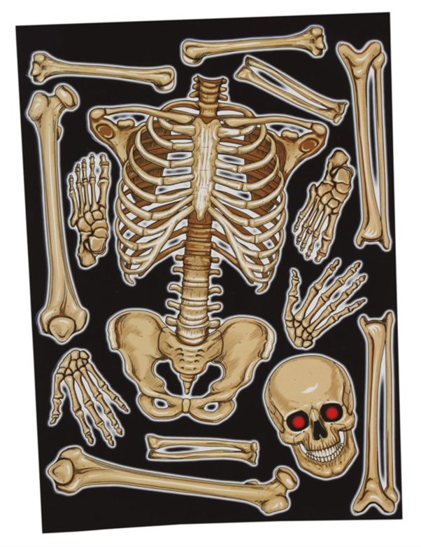 Photo du produit Stickers pour fenêtre squelette 30 x 40 cm