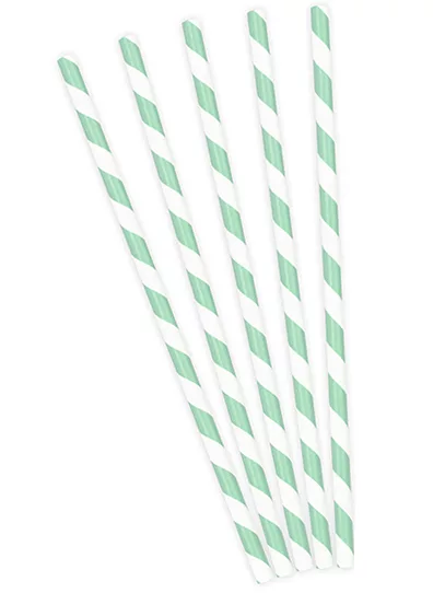 Photo du produit 10 Pailles en carton rayées blanches et menthe 19,5 cm