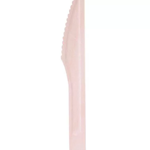 Photo du produit 50 Couteaux en bois 16,5 cm