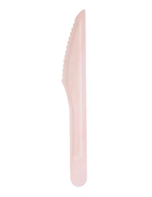 Photo du produit 50 Couteaux en bois 16,5 cm