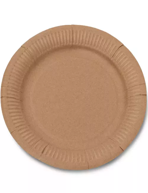 Photo du produit 10 Assiettes en carton kraft 23 cm