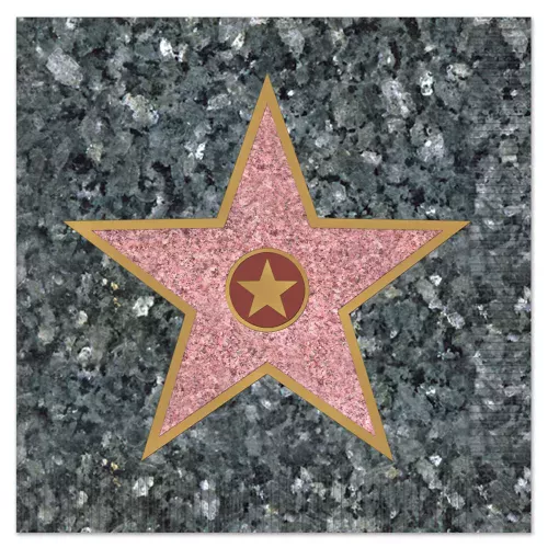 Photo du produit 16 Serviettes en papier Hollywood grises 33 x 33 cm