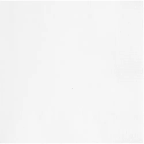 Photo du produit 20 Petites serviettes en papier blanches 25 x 25 cm