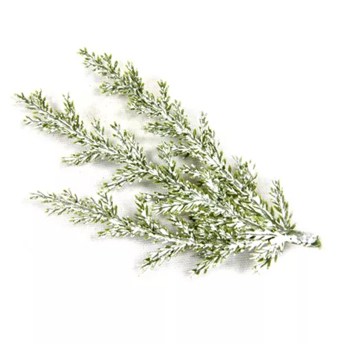 Photo du produit 3 Branches de cyprès artificielles enneigées 10 cm