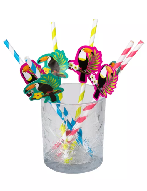 Photo du produit 6 Pailles en carton toucan 20 cm