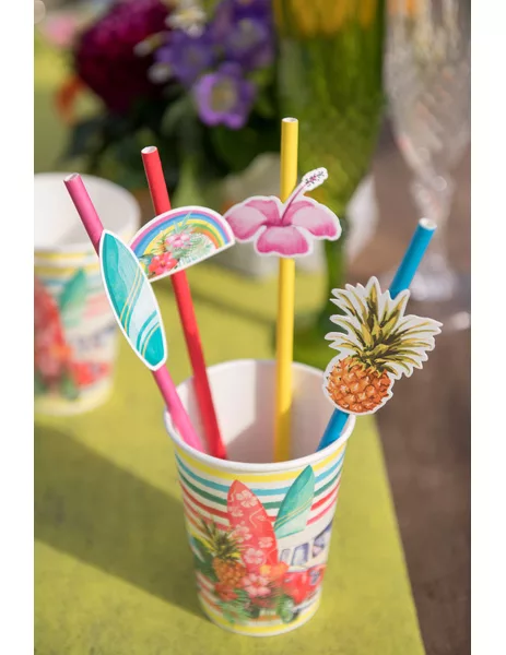 Photo du produit 8 Pailles carton Aloha 19 cm