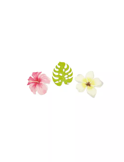 Photo du produit 9 Confettis en bois fleurs et feuilles tropicales 3,8 cm