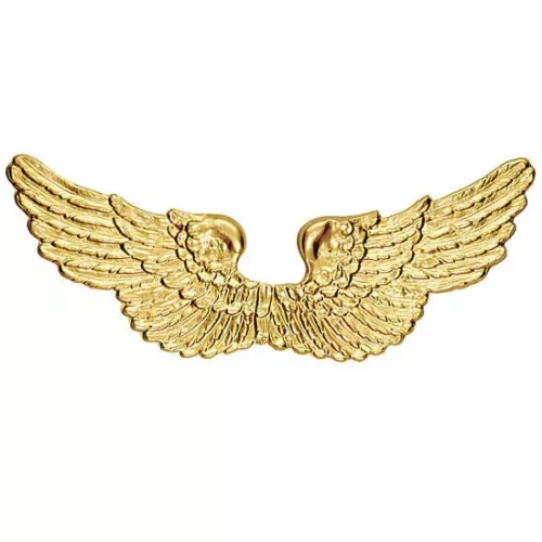 Photo du produit Ailes ange dorées 88 X 25 cm
