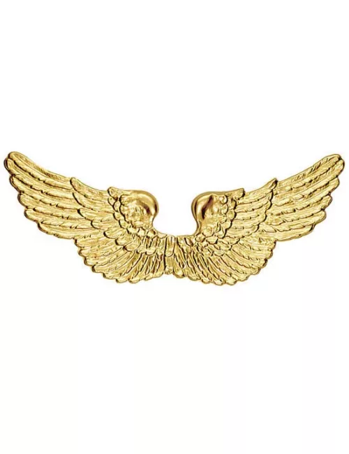 Photo du produit Ailes ange dorées 88 X 25 cm