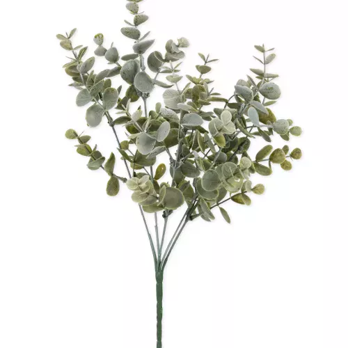 Photo du produit Bouquet feuilles eucalyptus vert 35 cm