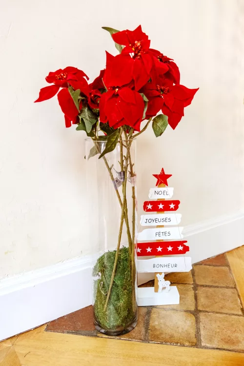 Photo du produit Branche fleur de poinsettia rouge 75 cm