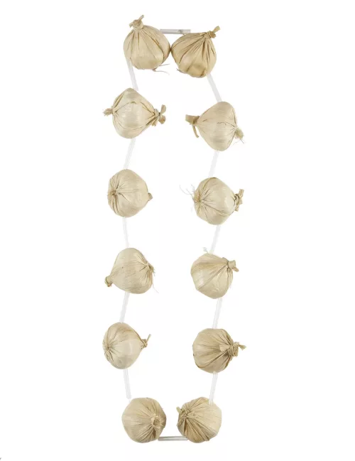Photo du produit Collier d'ail adulte