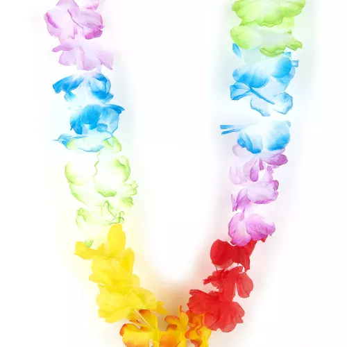 Photo du produit Collier Hawaï de bienvenue