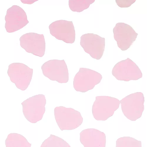 Photo du produit Confettis pétales de rose en papier rose 50g