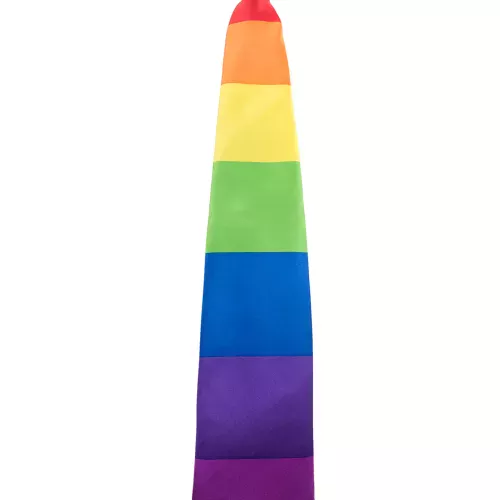 Photo du produit Cravate arc-en-ciel adulte
