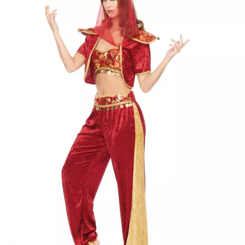 Photo du produit Déguisement danseuse d'Orient sexy femme