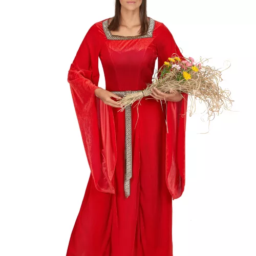 Photo du produit Déguisement médiéval rouge effet velours femme