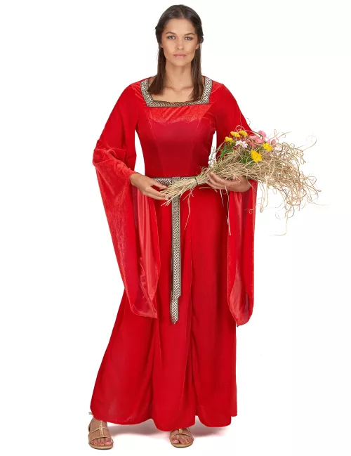 Photo du produit Déguisement médiéval rouge effet velours femme