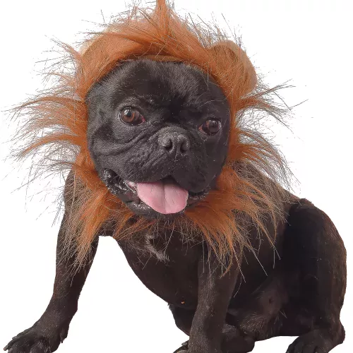 Photo du produit Déguisement lion pour chien