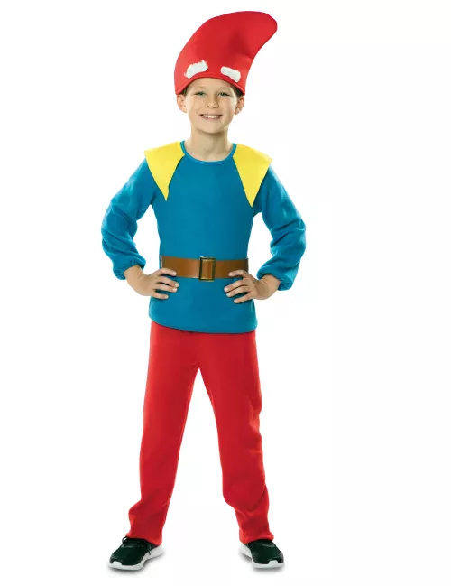 Photo du produit Déguisement nain de jardin coloré enfant