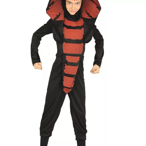 Photo du produit Déguisement ninja cobra garçon