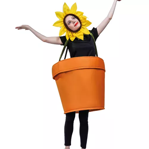 Photo du produit Déguisement pot de fleur adulte